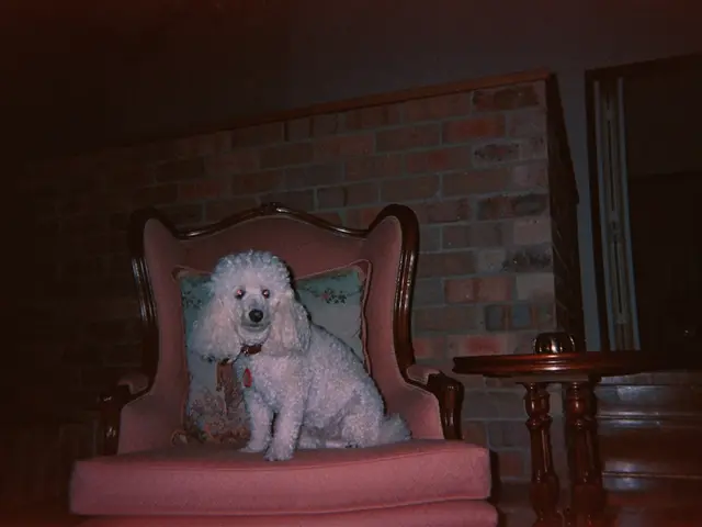 "Is it unreasonable for a friend to evict another friend and their children from their residence?"