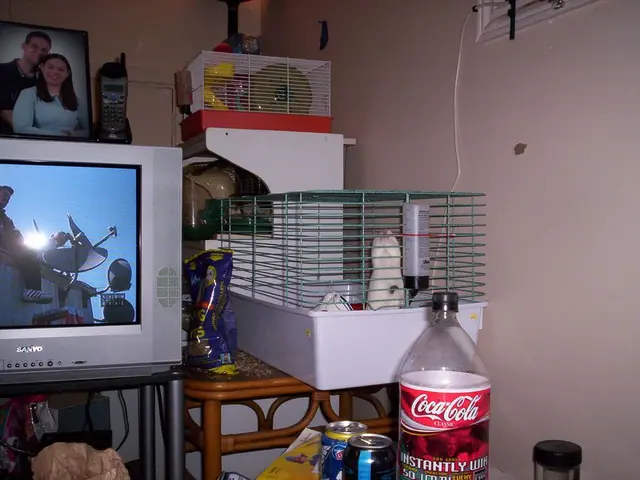 Investigating the Transition to IPTV for Contemporary Streaming Requirements