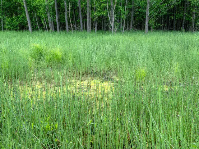 Reduced Penalty by 98% for North Carolina Farm Following Worker's Heat-Related Demise