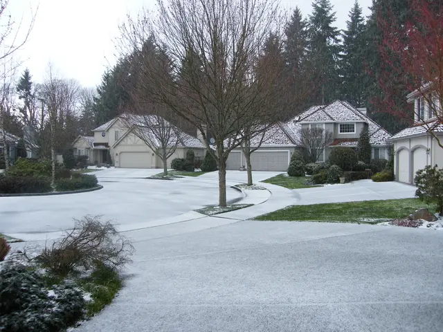 Weekly Successes: Preserving Net Zero Aspirations, with Additional Accomplishments