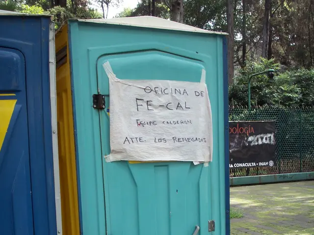 Investigated the harmony of the financial assistance with the domestic market.