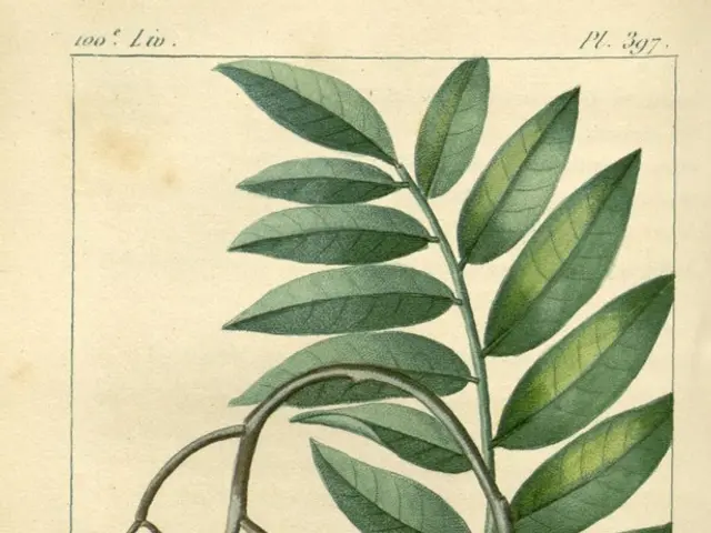 Holiday Gift Guide: The Perfect Read for Fruits Enthusiasts