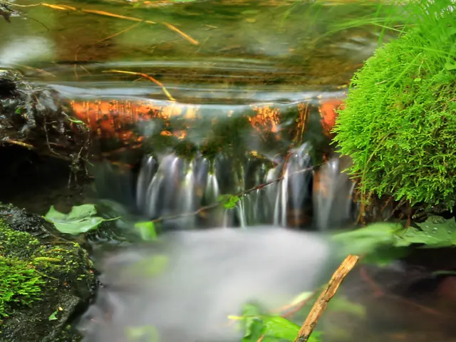 Energy Circulation in Ecosystems: The Rule of Thermodynamics