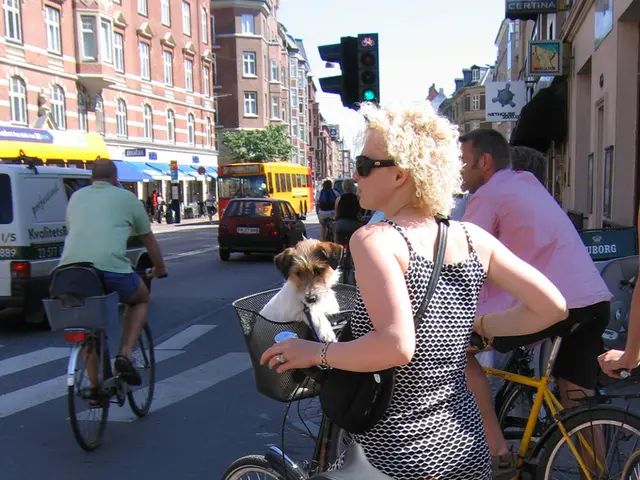 Suspect Sought in Connection with E-Scooter Crash Involving Cyclist