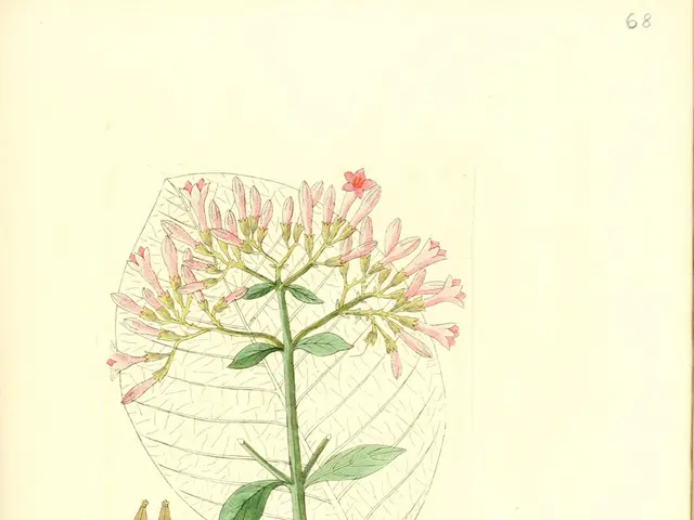 Mathematical series in which each number is the sum of the two preceding ones, starting from 0 and...