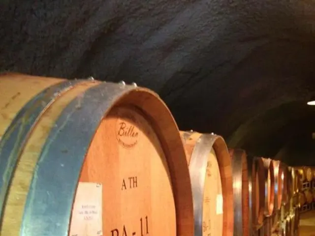 Fire safety safeguards for urban tunnels