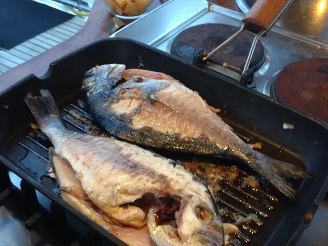 Zoo Osnabrück reintroduces dining services within its premises