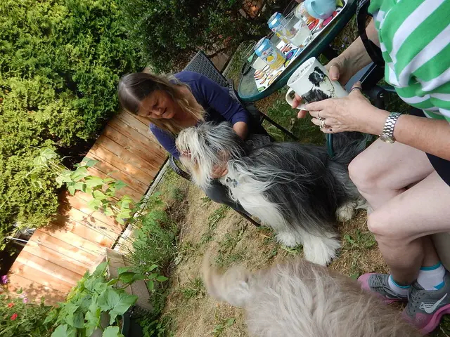 Proposal demanded for safeguarding animal and environmental welfare by the Commission.