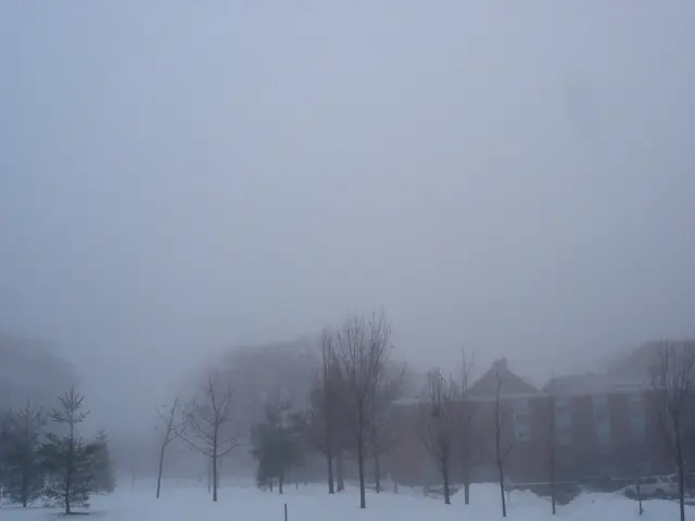 Heavy downpours inundate cellars and streets in North Rhine-Westphalia, causing widespread...