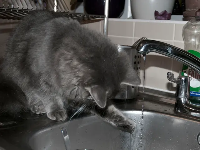 Financial Outlook: Navigating Troubled Loan Recipients