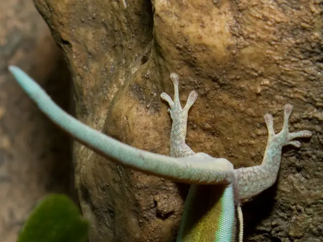 Actor Dwayne Johnson discloses his intent to lose weight for a peculiar role in an upcoming film