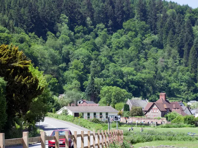 **Identified Party in Question: Who Was Red?**