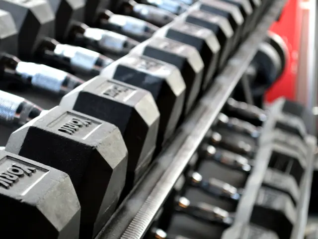 Top-Rated Dumbbells for 2022