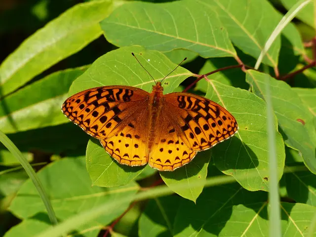 Lawmaker Bayrou set to step down following defeat in confidence vote within the French National...