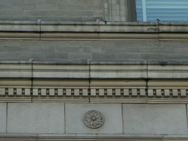 Unveiling the Purpose: National Industries for the Blind - amplifying abilities through procurement