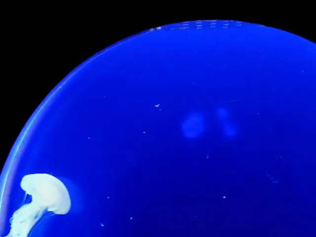 Deep-sea snailfish species discovered at an astonishing depth of 3,268 meters, footage provided