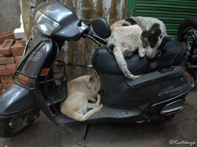 Authorities seek out individuals who may have observed the incident.