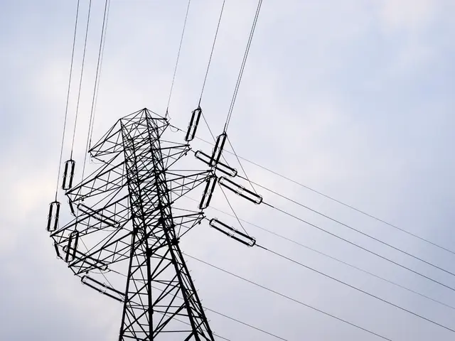 Satellite service Starlink offers the opportunity for purchasing lightweight portable mobile phones...