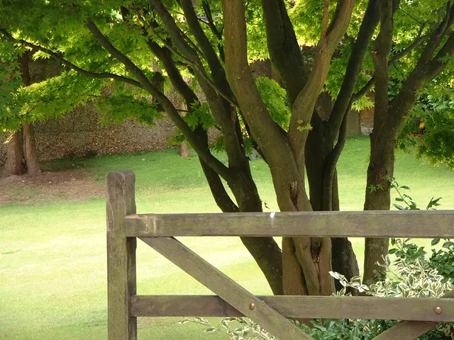 Denmark Initiates Initial Sovereign Green Bond Under EU Green Bond "Gold Standard"