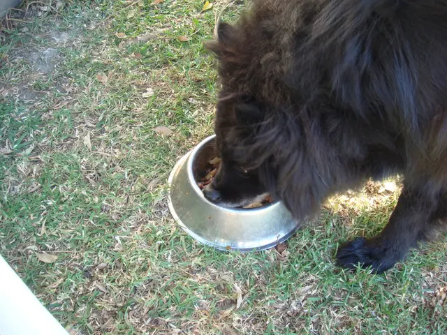 Local animal welfare organization, The Humane Society, is on a mission to track down the owner of...