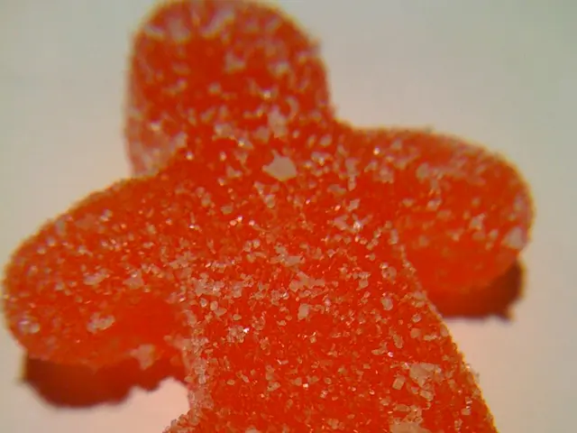 Struggle Between Sweetness and Saltiness: Examining the Effects of Sugar and Salt on Health