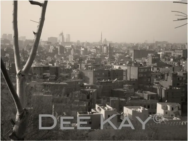 This is a picture of the city, where there are buildings, trees, and in the background there is sky...