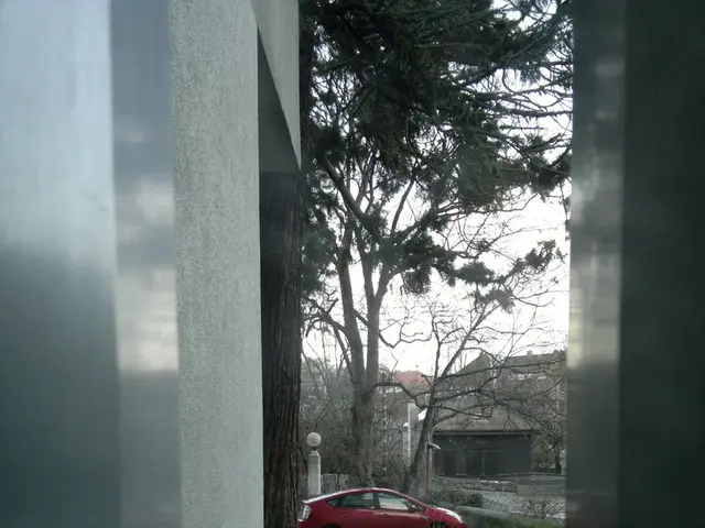 In the picture there is a house and in front of the house there is a big tree,beside the tree there...