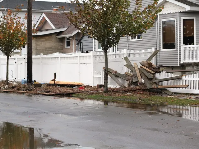 These are the houses with the windows and glass doors. I can see the wooden boards. This looks like...
