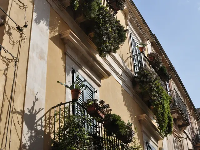 This image consists of a building along with windows and we can see the potted plants near the...