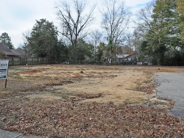 The image shows a vacant lot with a sign in the middle of it, surrounded by dry leaves on the...