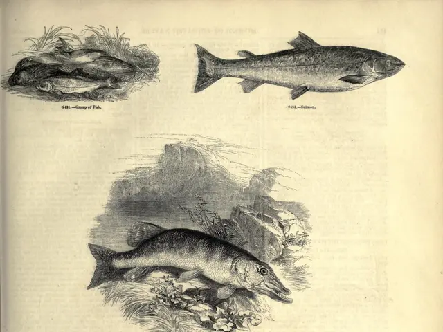 The image shows an open book with a variety of fish and other aquatic animals depicted on it. The...