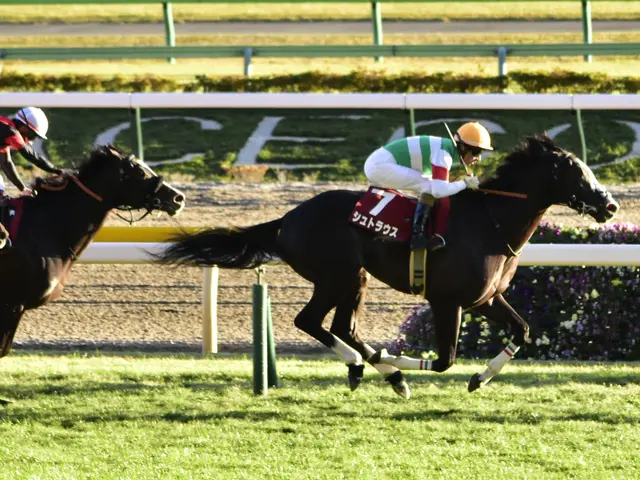 The image shows two jockeys on horses racing down a track, wearing helmets and surrounded by lush...