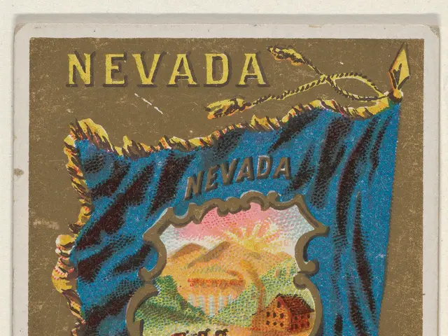 The image shows a poster with a Nevada flag in the center, surrounded by text, houses, and other...