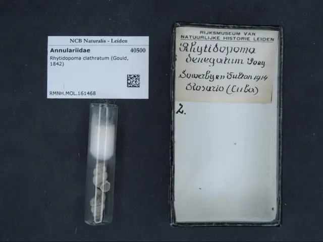 The image shows a small glass vial filled with white pills sitting on top of a black table, with a...