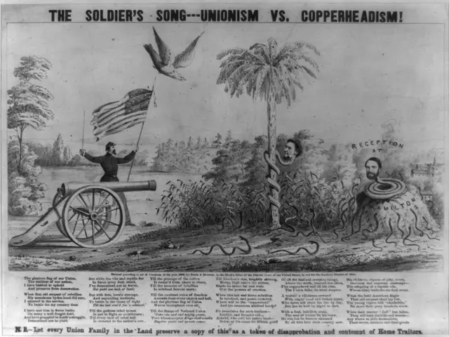 The image shows a poster with a person standing on a cannon, holding a flag, surrounded by trees,...