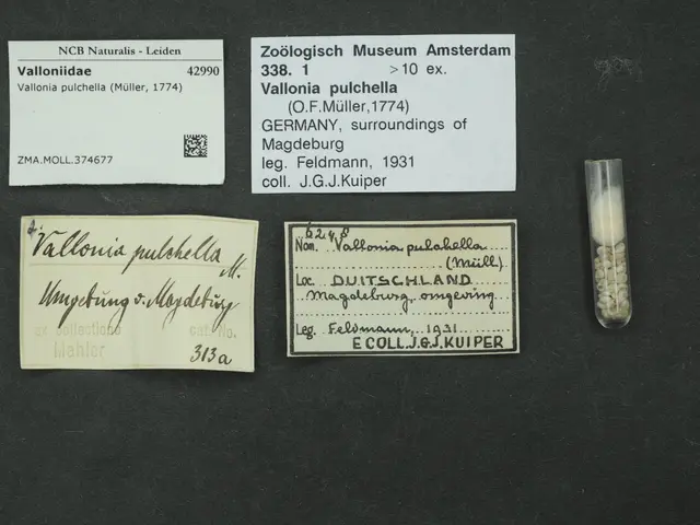 The image shows a black surface with a small glass vial filled with white pills next to a piece of...