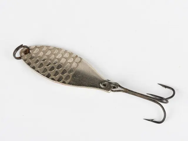 The image shows a silver fishing lure on a white background. It is a metal object with a hook at...