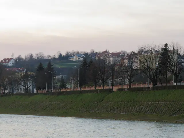 The image shows a riverbank with a body of water, grass, a group of trees, street poles, a fence,...