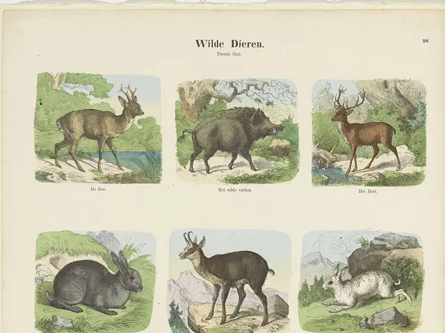 The image shows a book with a variety of wild animals on it, including a deer, rabbit, and other...
