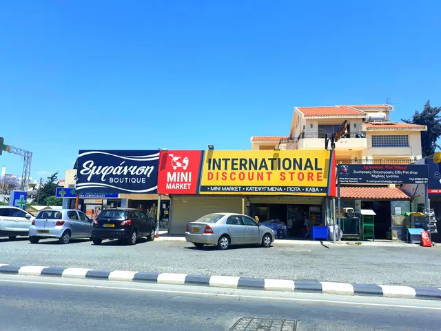 The image shows an international discount store on the corner of a street, with buildings, stores,...