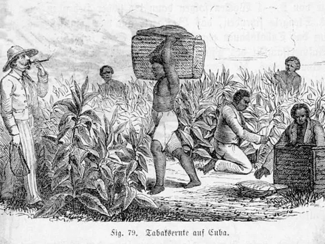 The image shows a black and white drawing of a group of people working in a field, with some of...