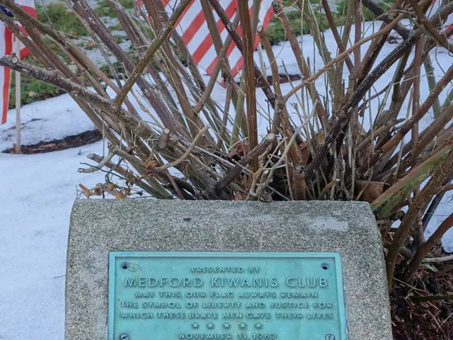 The image shows a memorial stone with a plaque on it in the snow, surrounded by plants and a flag...