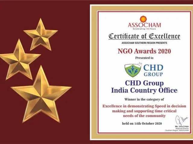 The image shows a certificate of excellence for the Ngo Awards 2020, with three stars on the left...