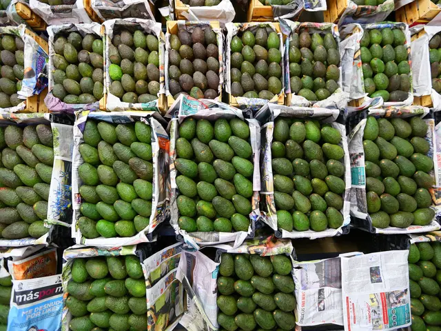 The image shows a market with boxes of avocados stacked on top of each other. The boxes are filled...