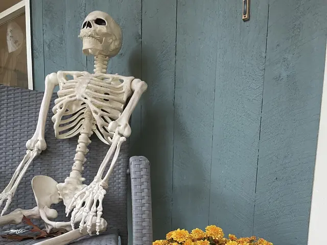 The image shows a skeleton sitting on a chair next to two pumpkins on a porch, surrounded by a...