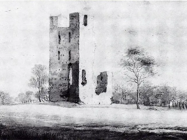 The image shows a black and white drawing of a castle in the middle of a field, surrounded by trees...