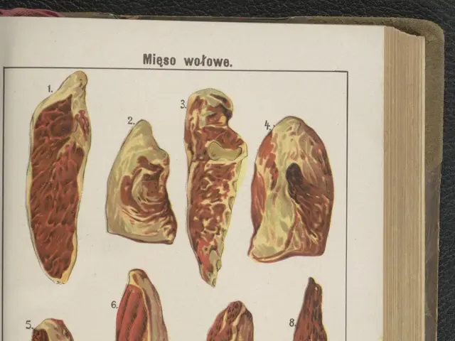 The image shows an open book with a variety of different types of meat on it, placed on a black...