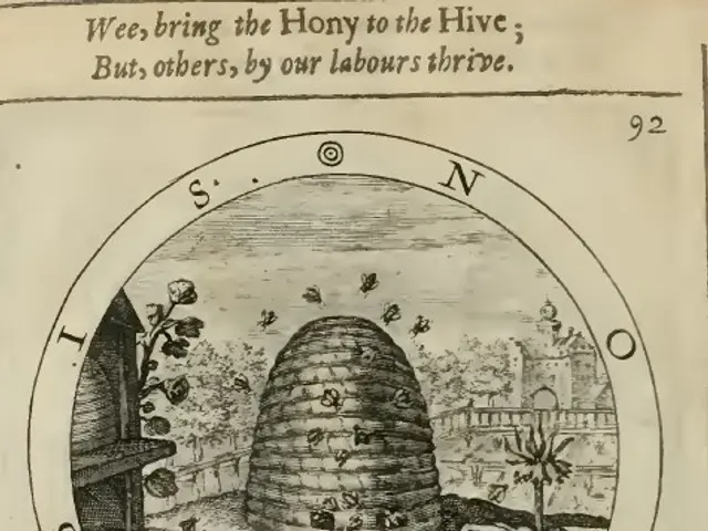 The image shows an old book with a drawing of a beehive in the middle of it, surrounded by plants...