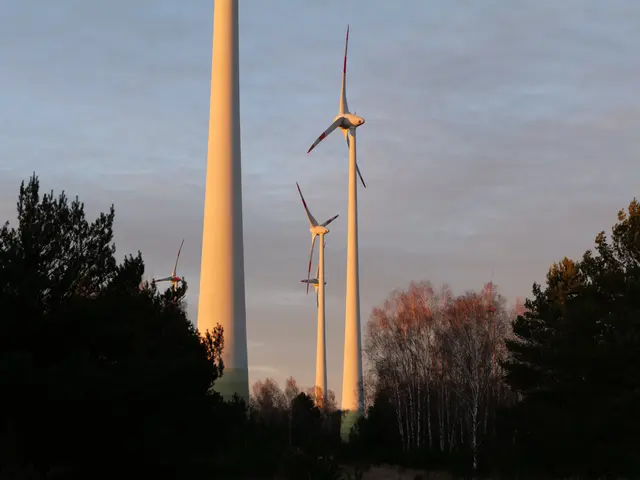 The image shows a group of wind turbines in a field at sunset, with trees in the foreground and a...