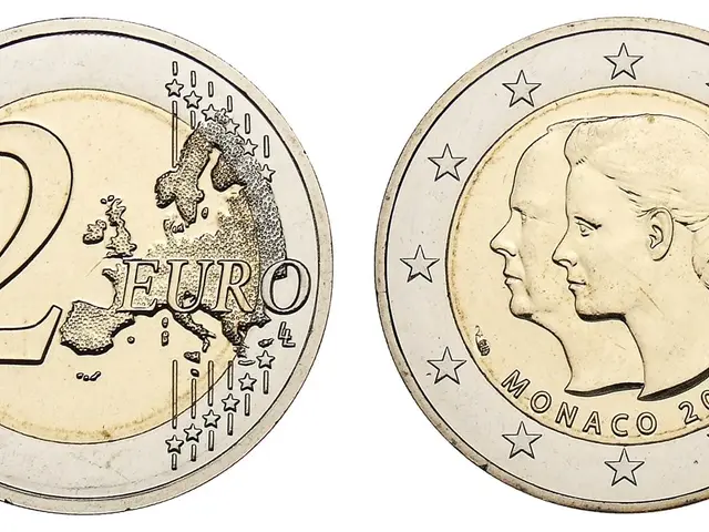The image shows a two euro coin with the image of a woman's face on it against a white background.